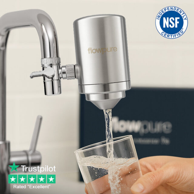FlowPure Stainless Steel Tap Filter Review: Is It Worth It?