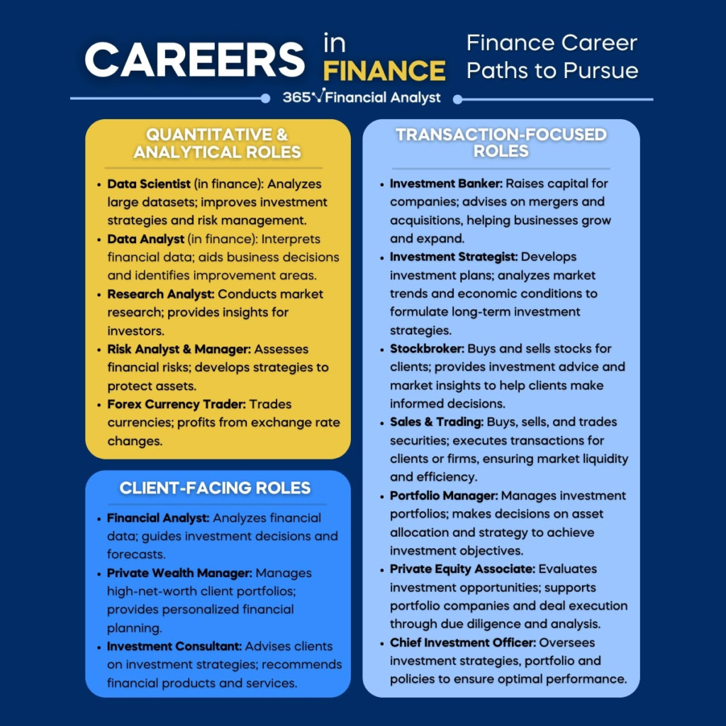 Master Core Financial Analyst Skills with 365 Financial Analyst — detail 3